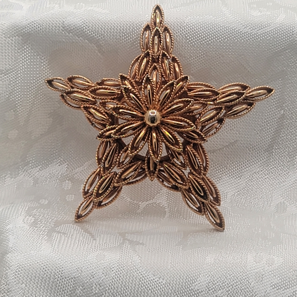 Carpri Signed Vintage Gorgeous Detailed Gold Tone Star Pendant Or Brooch Pin